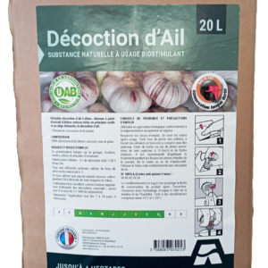 DECOCTION D'AIL
