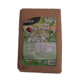 DECOCTION DE PRÊLE