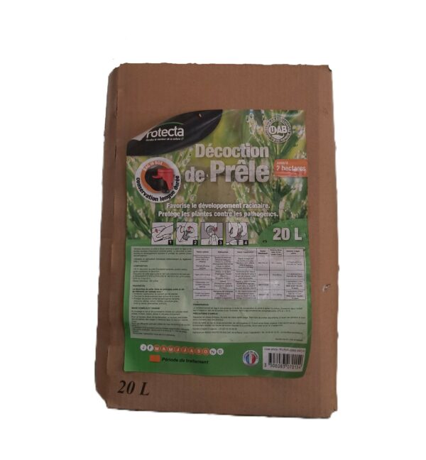 DECOCTION DE PRÊLE
